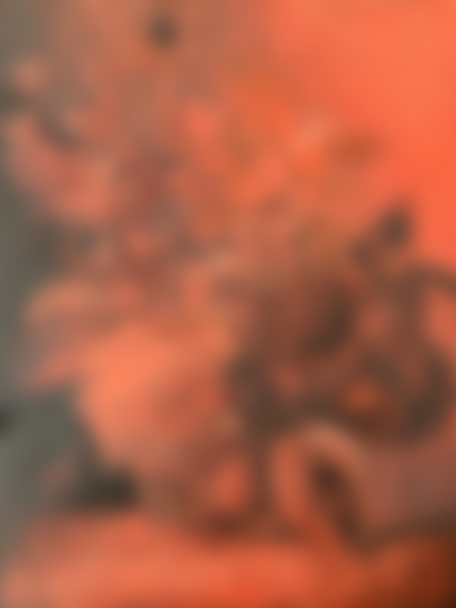 Still Life 2 by Mila